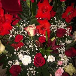 Meet your Posher, Socorro